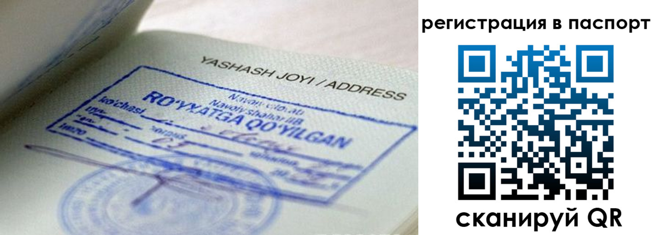 временная регистрация надежно в Отрадном